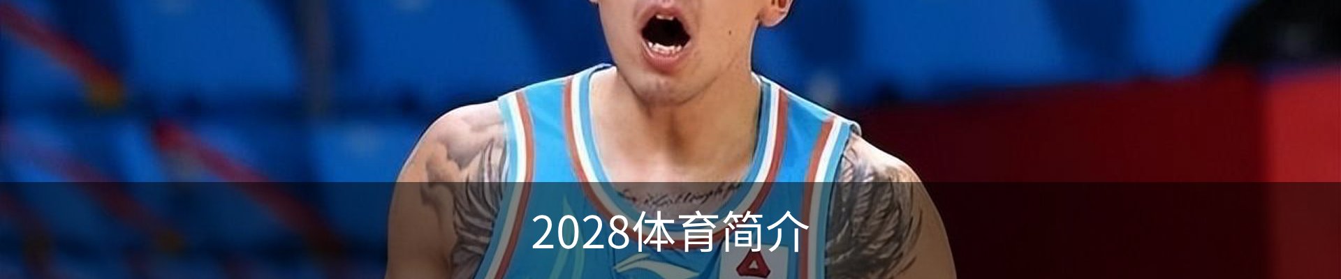 2028体育简介